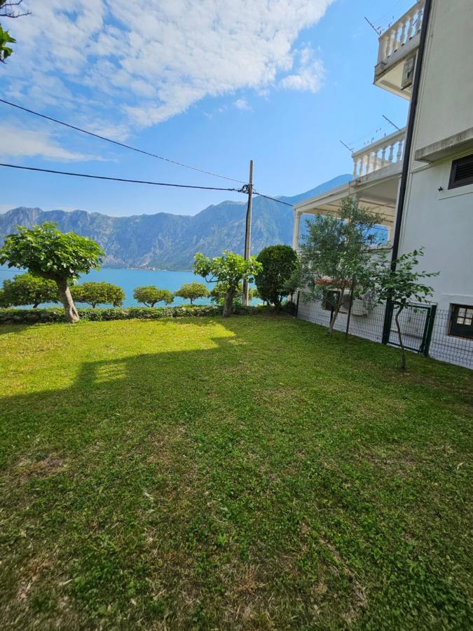 Popovic Apartment