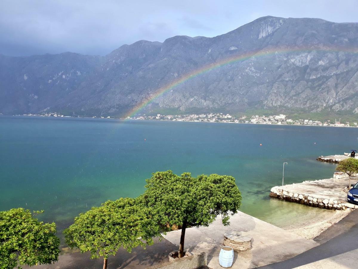 Popovic * Kotor
